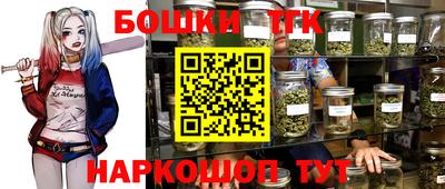 хмурый Тула