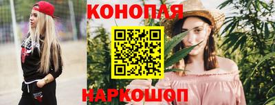 крисы Тулун