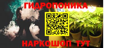крисы Тулун