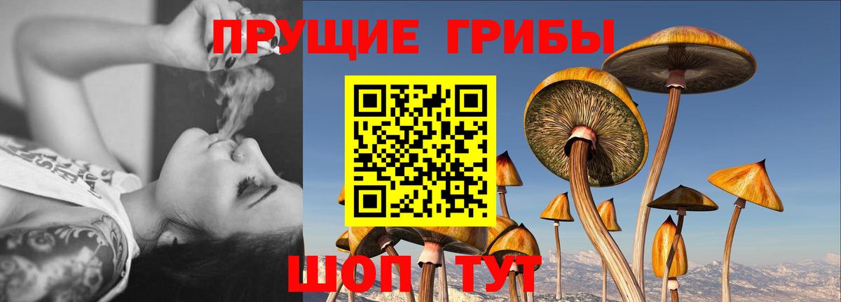Галлюциногенные грибы ЛСД  Вход с VPN  Галлюциногенные грибы Cubensis  Нижневартовск 